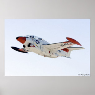 T-2Buckeye Poster
