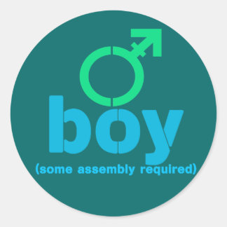 T-Boy Assembly Stickers Runt Klistermärke