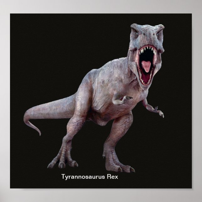T-Rex-bild för Poster (Framsidan)
