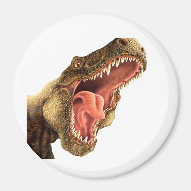 T-REX Dinosaur Locker Magnets, kylskåp Magnet (Framsidan)
