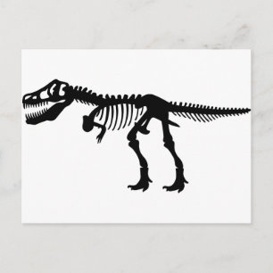T Rex Dinosaur Skeleton Vykort