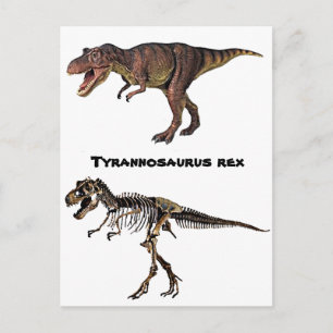 T-rex Flesh-n-Bone,vykort Vykort