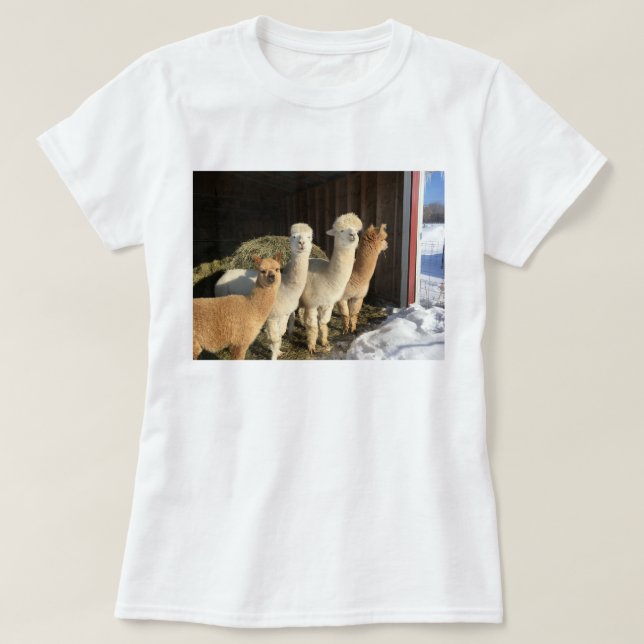 T-Shirt - Alpacas i Winter Sol (Design framsida)
