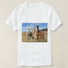 T-Shirt - Alpacas Phaethon, Barley & Marvin