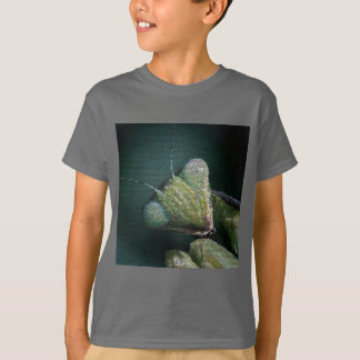 T-Shirt - Kakel Mantis