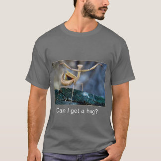 T-Shirt - Kan jag få en kram?