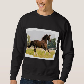 T-shirt med häst som bär solglasögon lång ärmad tröja