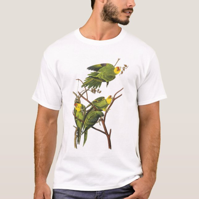 T-Shirt: Parakeets - från John Audubon T Shirt (Framsida)