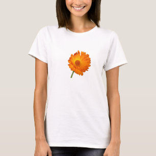 T-shirt - Ringblomma på kort stjälk
