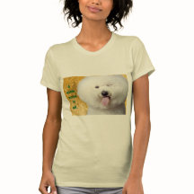 T-shirt Rolig hund Skriv ut en Wink säger allt