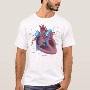 T-skjorta för hjärtaanatomicoola tee