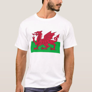 T-skjorta med flagga av Wales. T-shirt