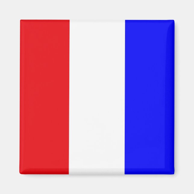 "T" (Tango) Signalkodflagga Magnet (Framsidan)