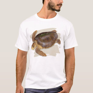 T-tröja för Loggerheadhavssköldpadda Tee Shirt