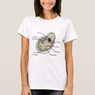 T-tröja för människacellbiologi t-shirt
