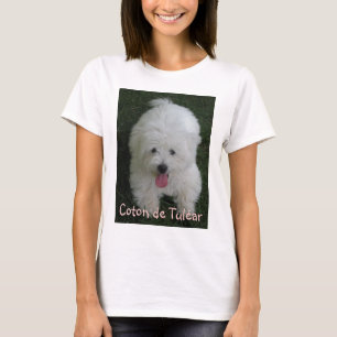 T-tröja med hundfotoet, bomull de Tulear T-shirt