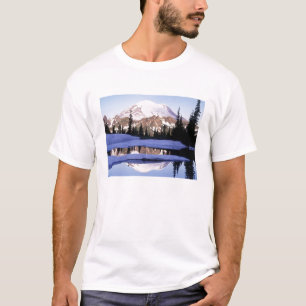 T-tröja Mt Rainer T Shirt