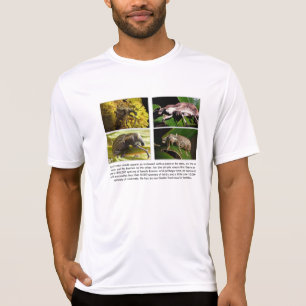 T-tröja Tee