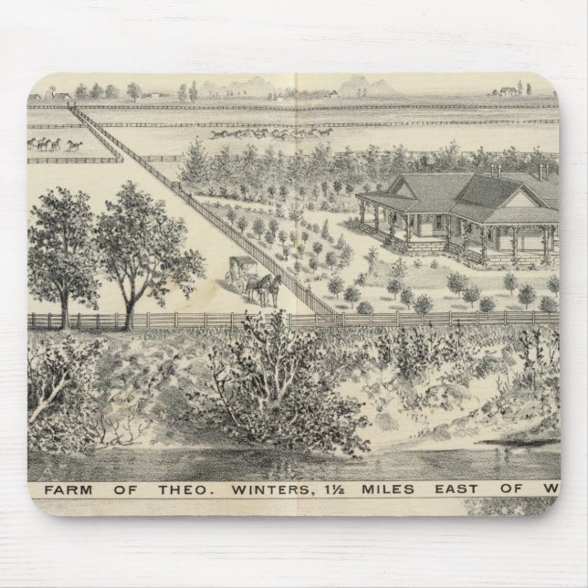 T Winters-servergrupp Musmatta (Framsidan)