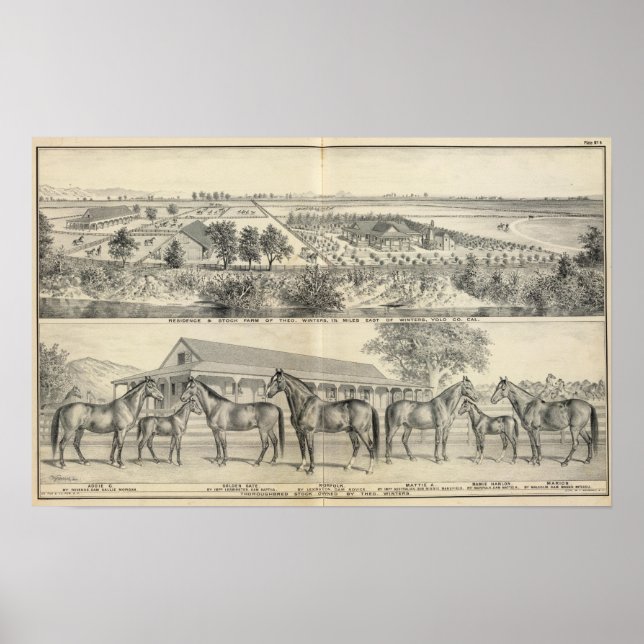 T Winters-servergrupp Poster (Framsidan)