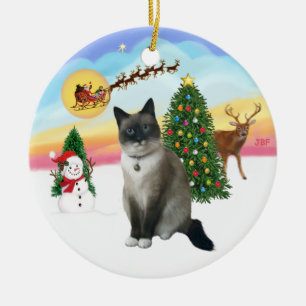 Ta av - Snö-skon Julgransprydnad Keramik