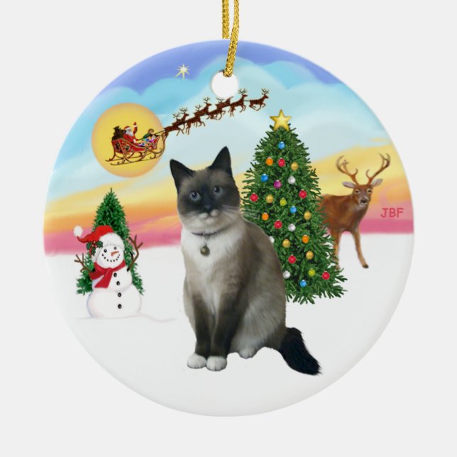 Ta av - Snöskokatt Julgransprydnad Keramik (Framsidan)