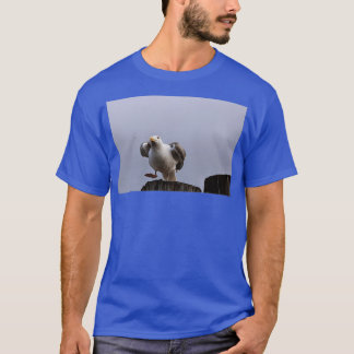 Ta av t shirt