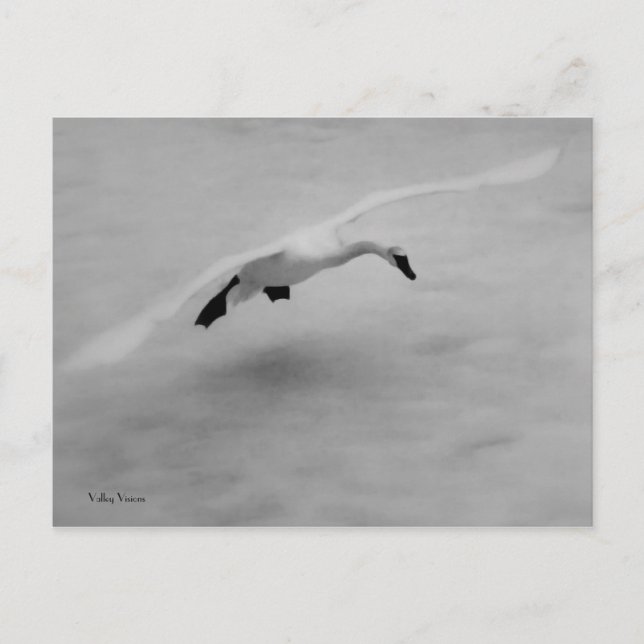 Ta av vykort (Framsida)