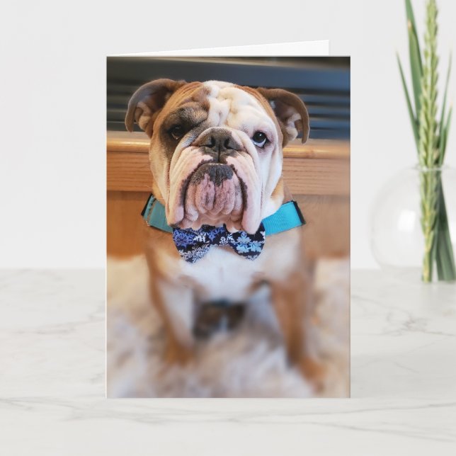 Ta bort Bulldog God jul Card Helgkort (Framsida)