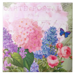 Ta bort färgreducerad keramisk platta för Fransk a Kakelplatta