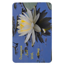 Ta bort ondska med Bra
