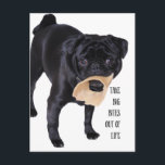 Ta bort stora bitor från livet vykort<br><div class="desc">ta stora bitor ur livet svart pug med ben</div>