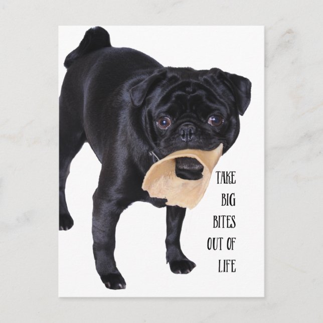 Ta bort stora bitor från livet vykort (Framsida)