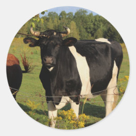 Ta Bullen vid Horns Runt Klistermärke