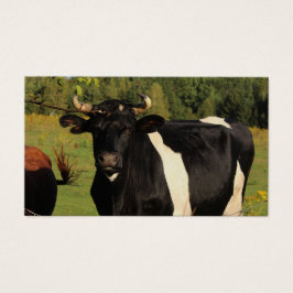 Ta Bullen vid Horns Visitkort