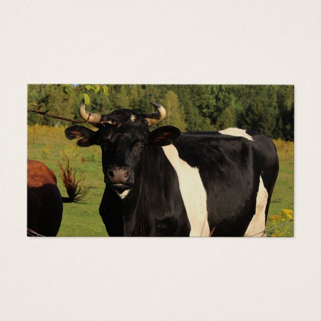 Ta Bullen vid Horns Visitkort (Framsidan)