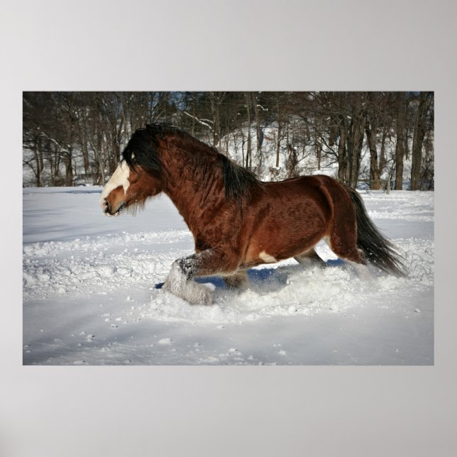 Ta den i Stride-Clydesdale i Snö Poster (Framsidan)