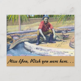 Ta det lugnt i Florida Vykort