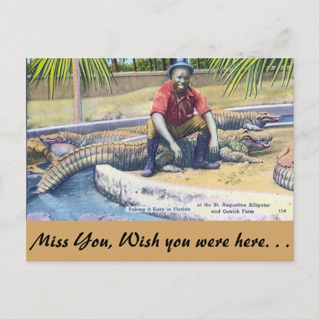 Ta det lugnt i Florida Vykort (Framsida)