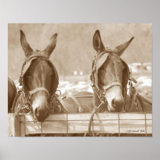 Ta det lugnt igen poster