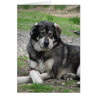 Ta det som är lätt! hälsningskort