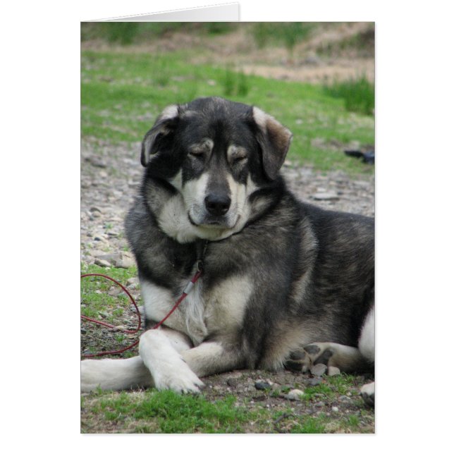 Ta det som är lätt! hälsningskort (Framsidan)