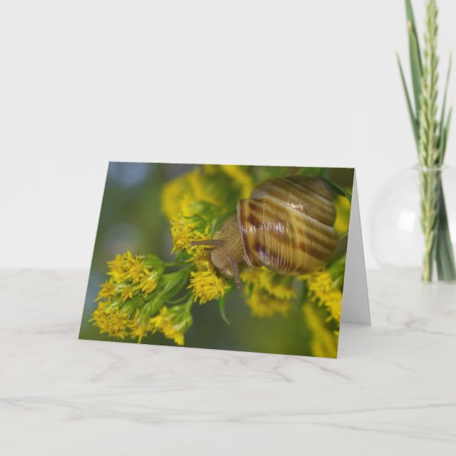 Ta det som är lätt (snigeln på gula blommormakro) kort (Framsida)