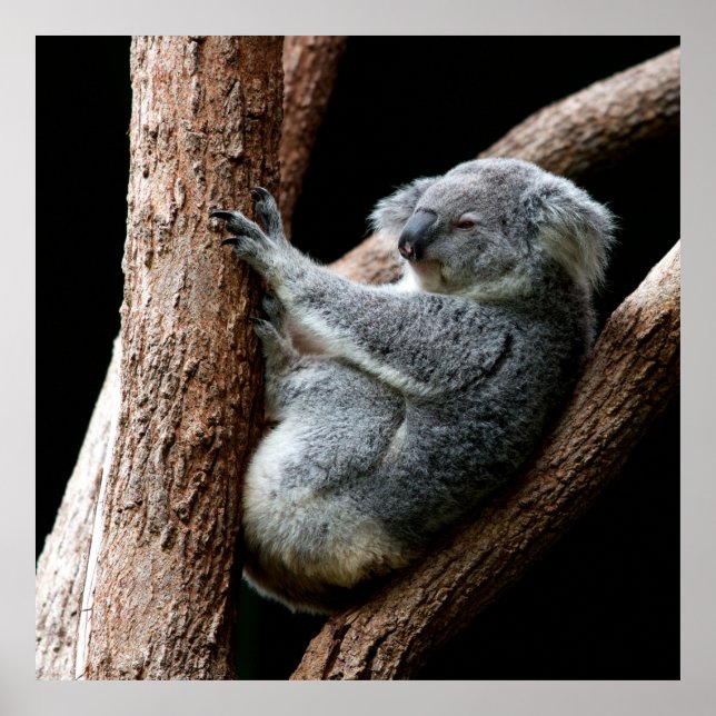 TA DIN TID POSTER (Framsidan)