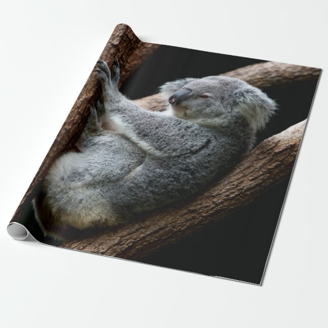 TA DIN TID PRESENTPAPPER (Utrullad)