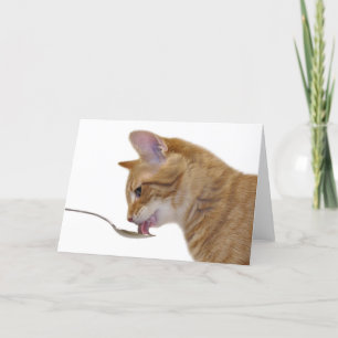 Ta ditt läkemedel kort