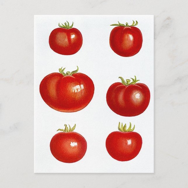 Ta emot vykortsdesign för  FAV-recept Vykort (Framsida)