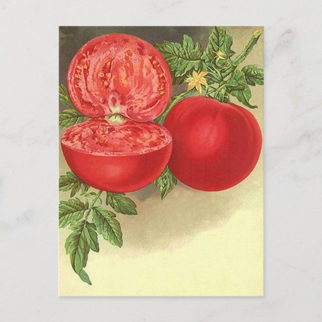 Ta emot vykortsdesign för  FAV-recept Vykort (Framsida)