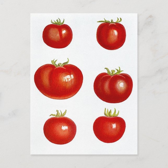 Ta emot vykortsdesign för  FAV-recept Vykort (Framsida)