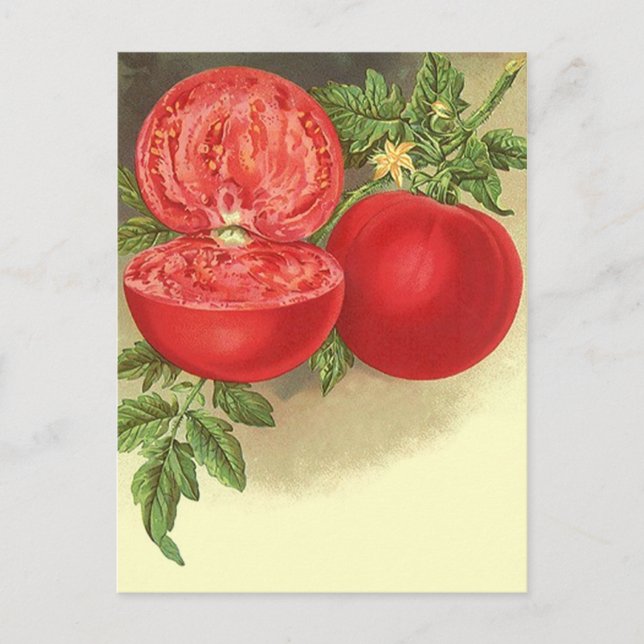 Ta emot vykortsdesign för  FAV-recept Vykort (Framsida)